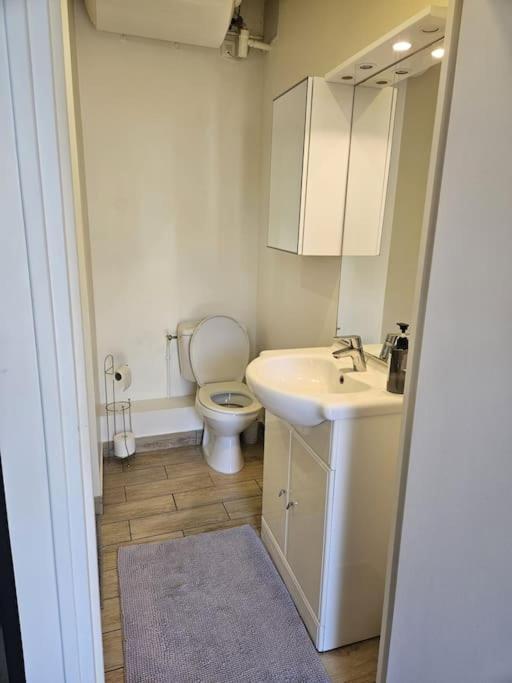 מורה-סור-לואה Beautiful F2 Apartment 5 Stops By Train From Paris מראה חיצוני תמונה
